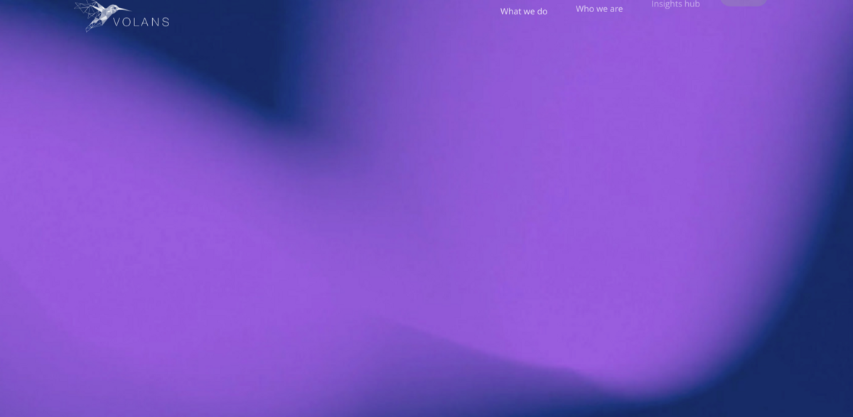 Volans sustainability strategy