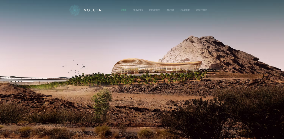 VOLUTA services and projects