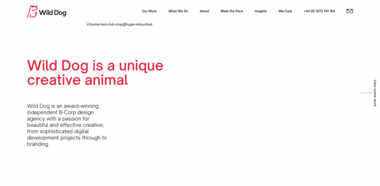 Wild Dog Design: A B-Corp Design Agency Merging Creativity and Technology