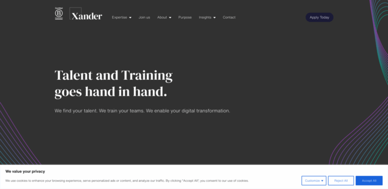 Xander Talent: Transforming Digital Workforce Development and Recruitment