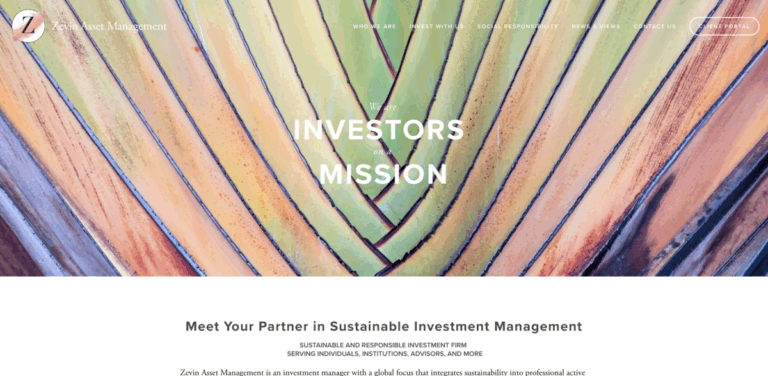 Zevin Asset Management: Sustainable Investment Management for Positive Impact
