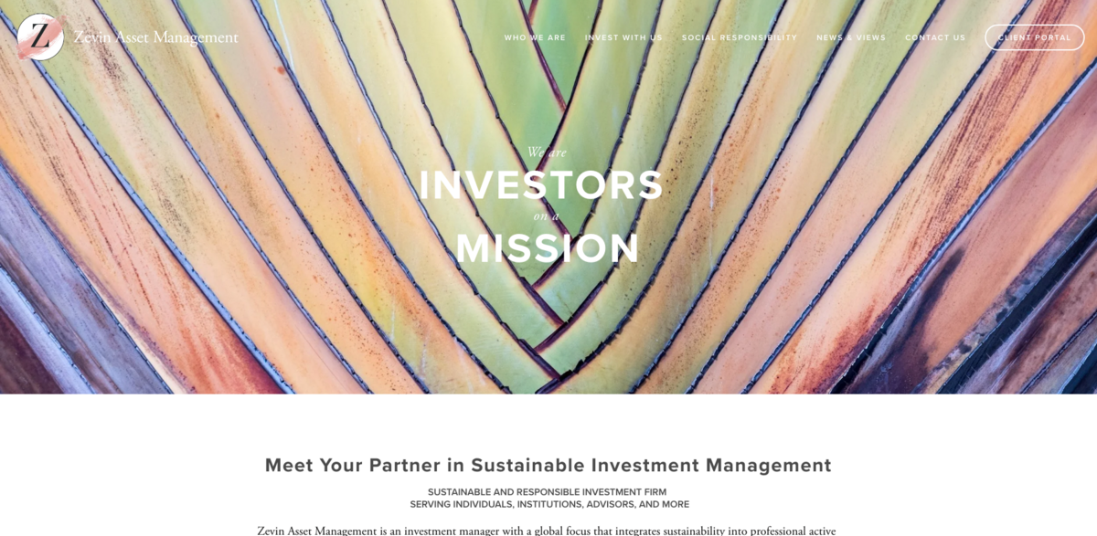 sustainable investment management