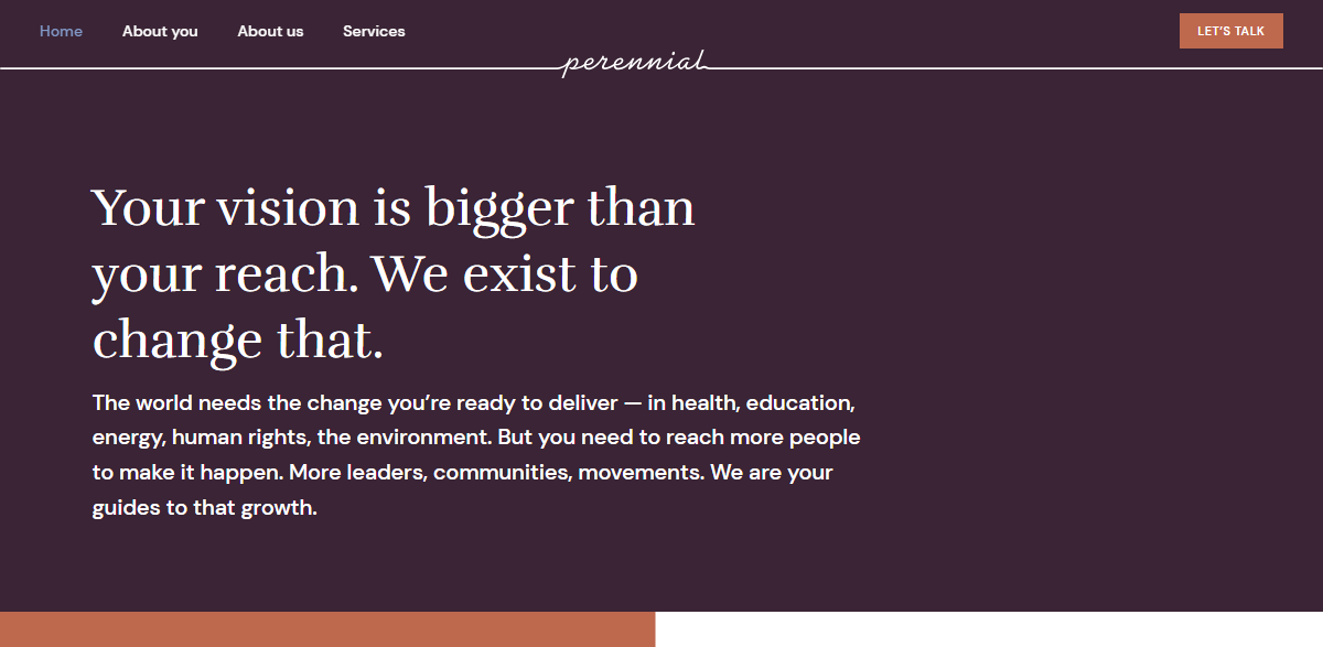 Perennial Strategy: Communications Consulting for Mission-Driven Organizations