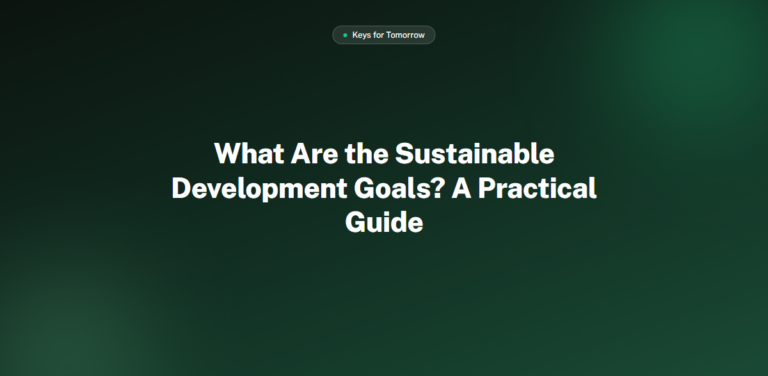 What Are the Sustainable Development Goals? A Practical Guide