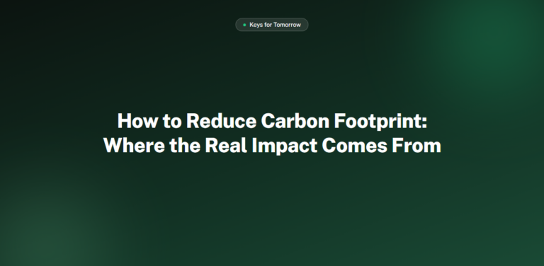 How to Reduce Carbon Footprint: Where the Real Impact Comes From