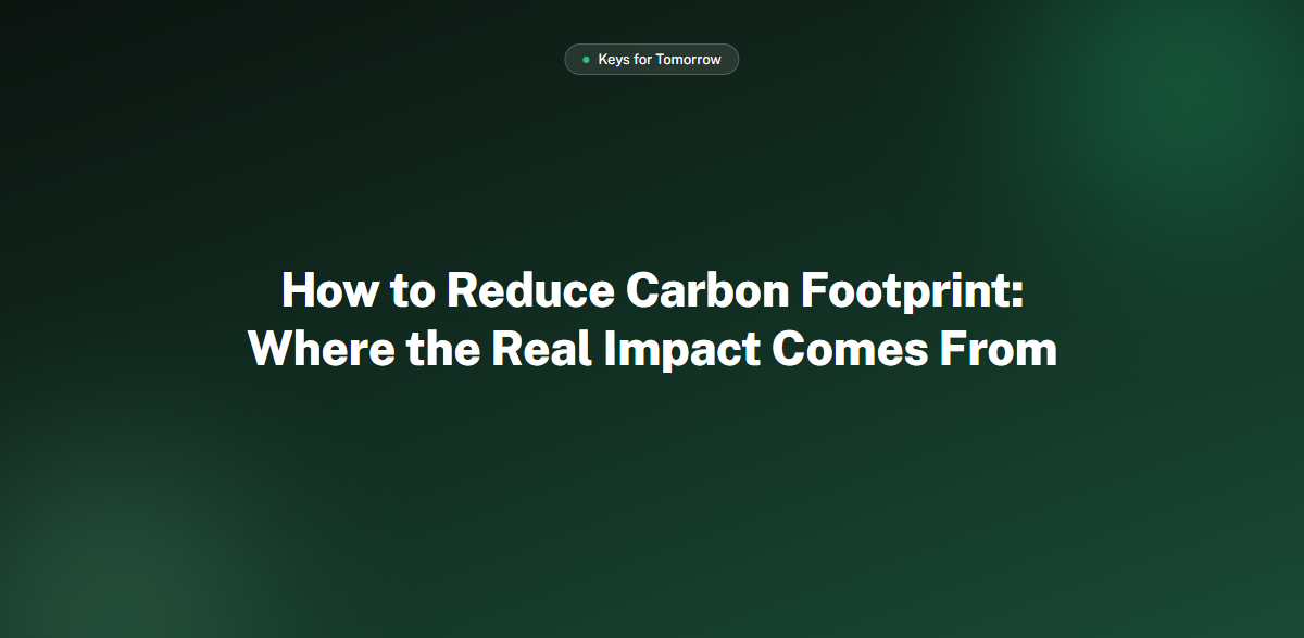 How to Reduce Carbon Footprint: Where the Real Impact Comes From