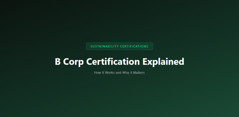 B Corp Certification Explained: How It Works and Why It Matters