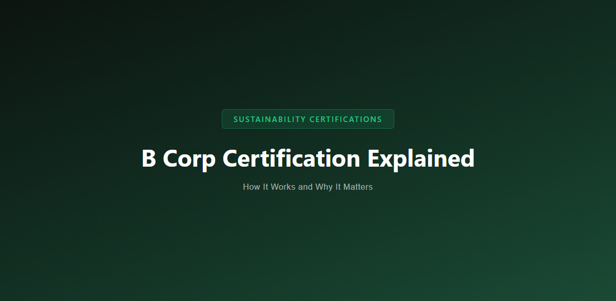 B Corp Certification Explained: How It Works and Why It Matters