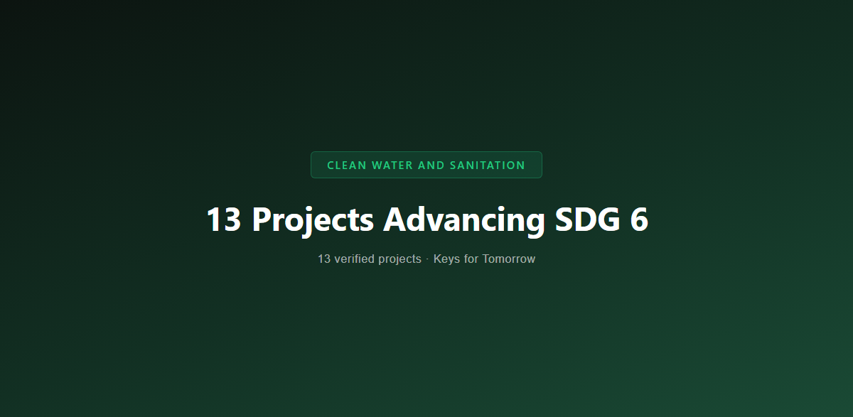 14 Projects Advancing SDG 6: Clean Water and Sanitation