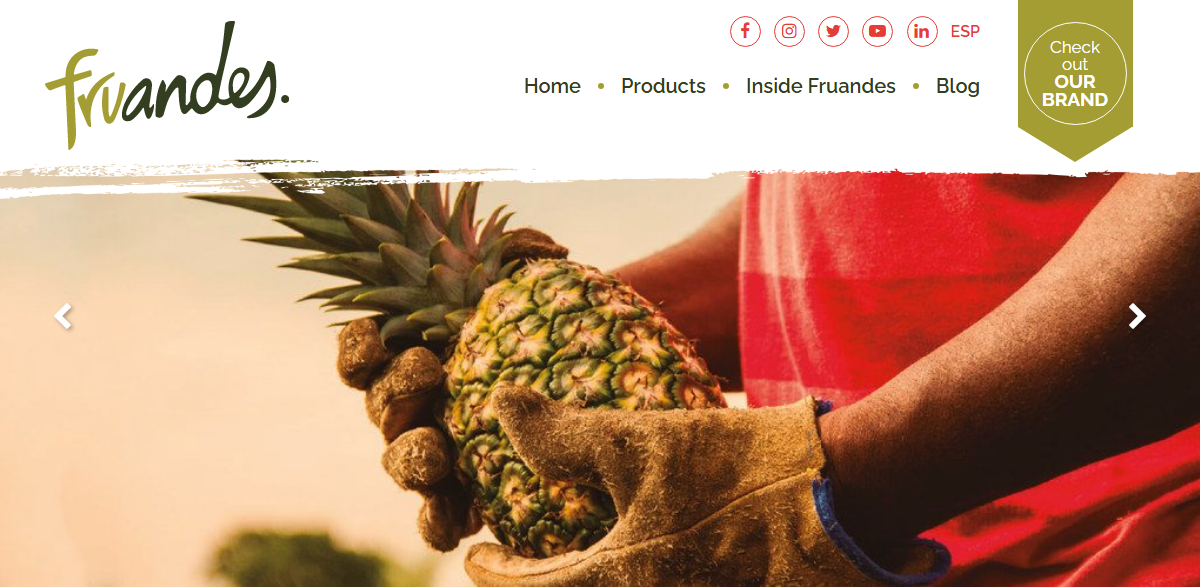 Fruandes: Organic Fair Trade Dried Fruit from Andean Smallholders